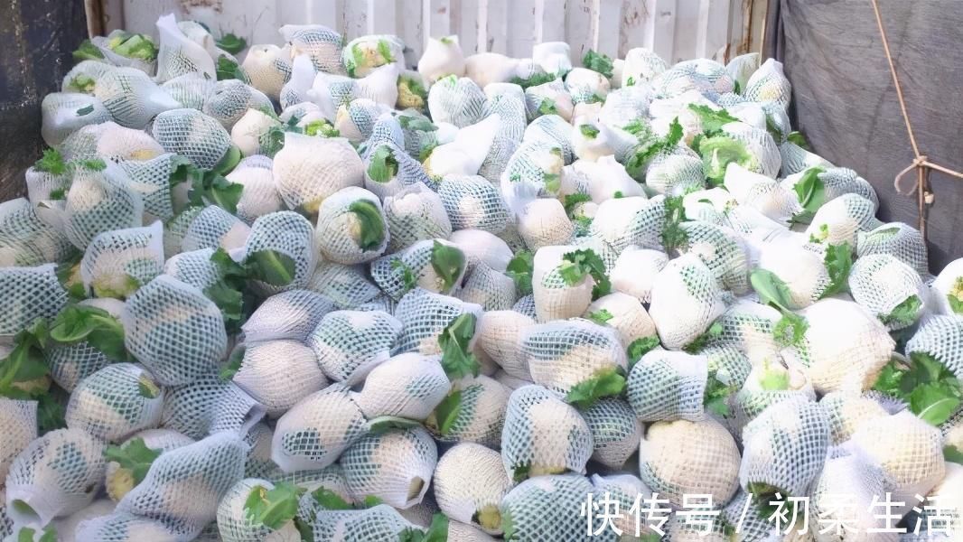 红薯|这4种食物被称为“抗癌蔬菜”,建议大家多吃,还能保护心脑血管