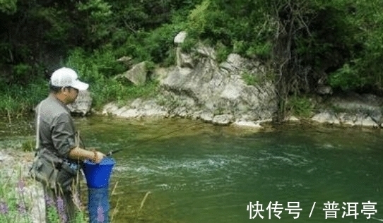 鱼类|为什么说“退水鱼难钓”?密度大不是更好钓吗?老钓客说出了原因