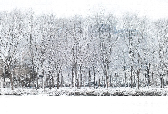 梦回|登状元楼看漫天飞雪，奇幻世界带您梦回巴国｜曹操带你耍安逸