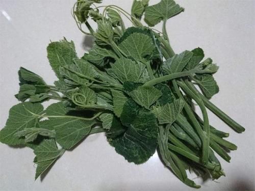 祛皱|秋天养生不妨多吃的食物,补水润肤,祛皱抗衰,使皮肤细嫩光滑