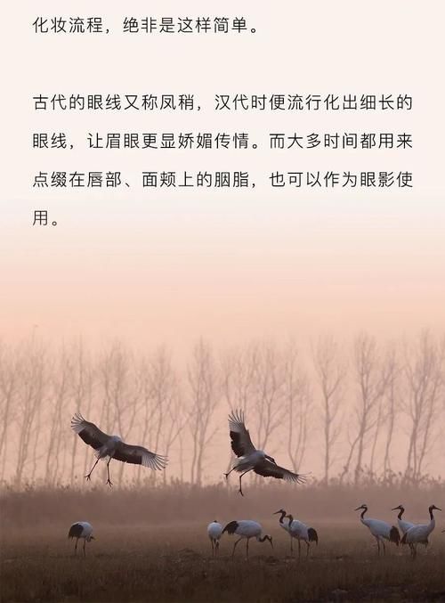 谁说东方美人不在眼睛上做文章