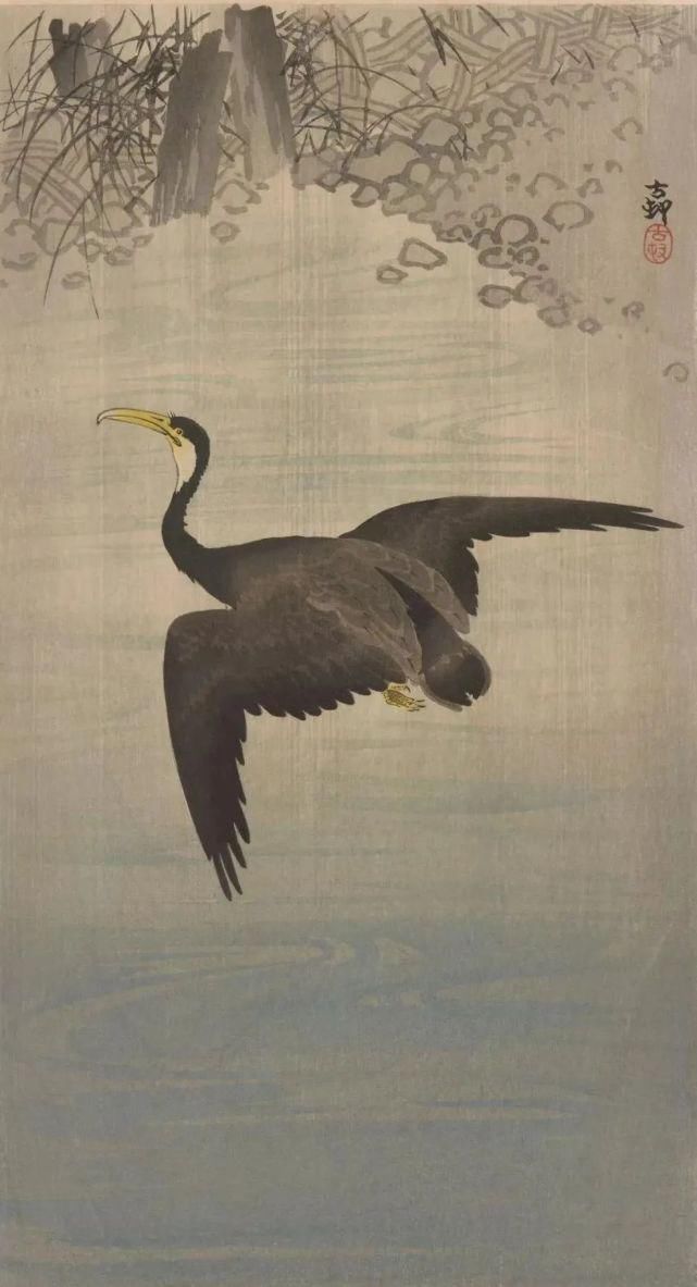 日本绘画大师的花鸟画，淡雅清新