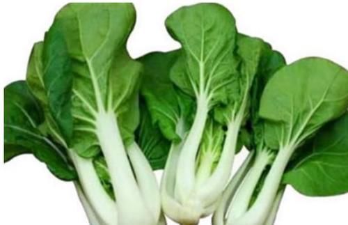 营养物质|想长寿全靠吃,以下食物多吃点,养肝补血,强健血管,利于健康