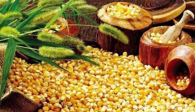 一款简单的草鱼窝料配方（草鲫鲤通杀）！