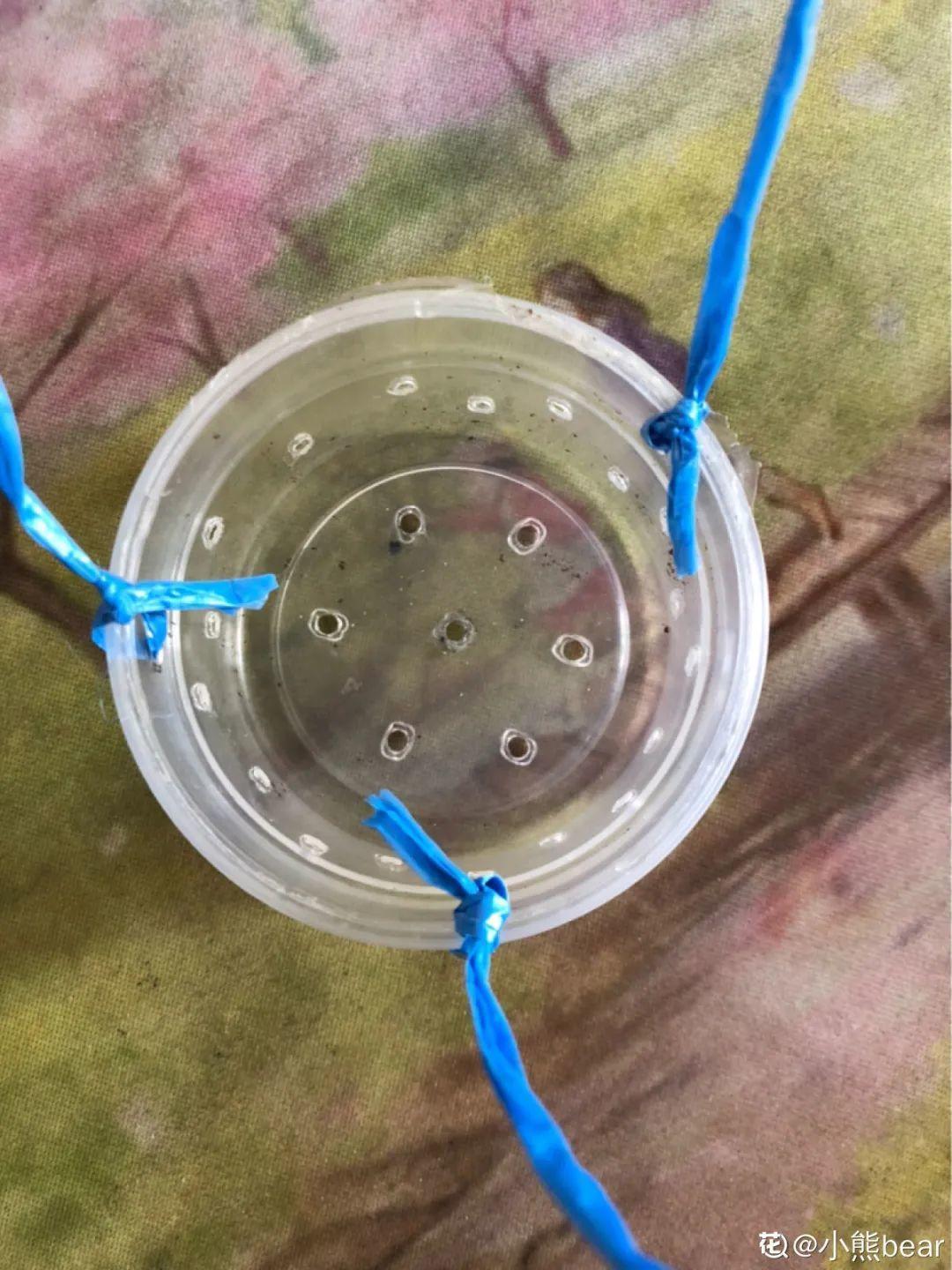 1个塑料瓶,居然有8种养花方法,省钱又好用!