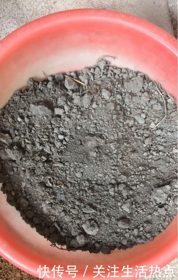 土里加两滴它,碱性变酸性,花儿都肥壮!