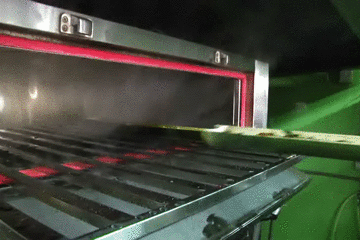 美食｜几位主持人齐齐抬竹子，难道要改行做木工？