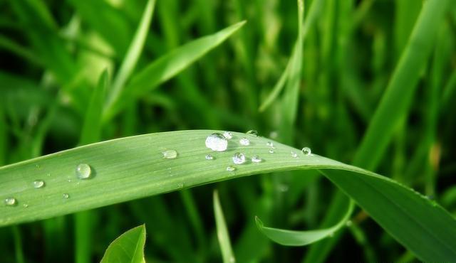 明哲保身&越是深藏不露的人,往往懂得这三条天规,懂一个,就很好!