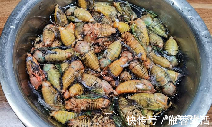 吃肉|三伏天，宁可不吃肉，遇到此美味别手软，高营养高蛋白，别不懂吃