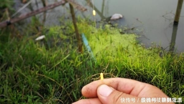 铅坠|七星漂钓组的搭配和调漂技巧,野钓鲫鱼最靠谱钓法,钓鱼人必学