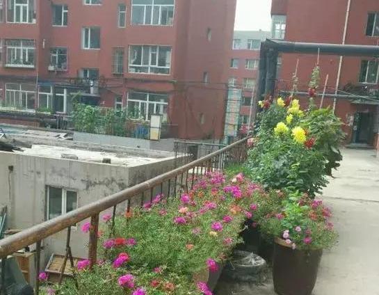 养花神器泡沫箱这般制成自动浇水箱、堆肥箱,省劲、实用!