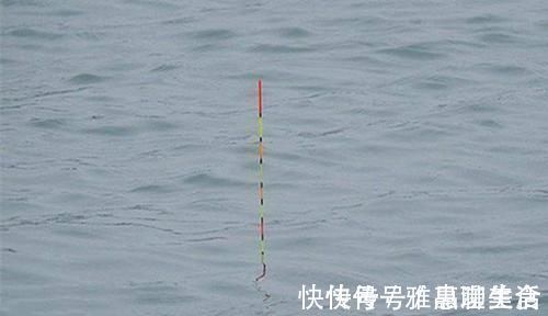 速钓|手竿速钓白条好方法,牢记这些要点,白条连竿上,狂拉到手酸!