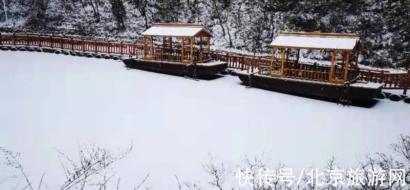 一夜之间|来啦！多图带你看紫禁城瑞雪，还有卖萌的熊猫、嬉戏的老虎~