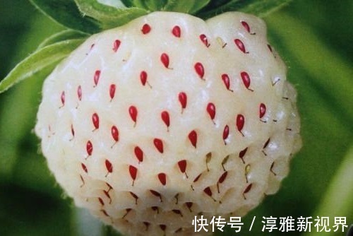 维生素c|女人45岁以后,开始冒皱纹,常吃以下三种水果,淡斑去皱、抗衰老