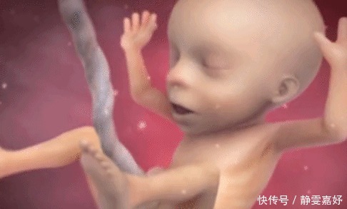 除了睡觉，胎儿如何每天在肚子里都干啥宝宝小日子开心到飞起