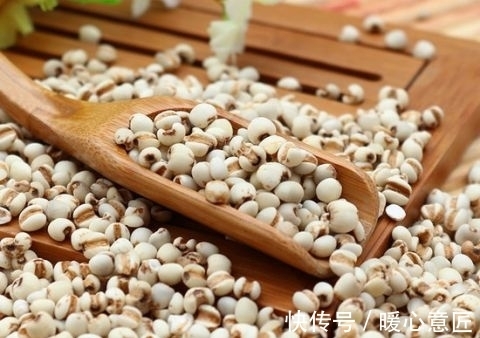 膳食纤维|入秋后要多吃“白色食物” 莲藕富含膳食纤维