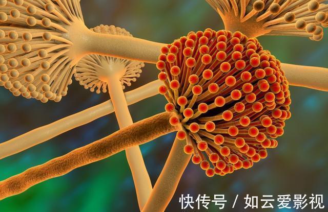 肝脏|世界公认的“一级致癌物”,都列出来了,呼吁:有些食物不吃为好