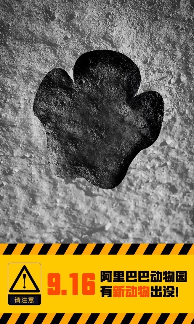 阿里巴巴|阿里巴巴正式宣布,保密三年的新业务曝光,网友原来真的牛啊