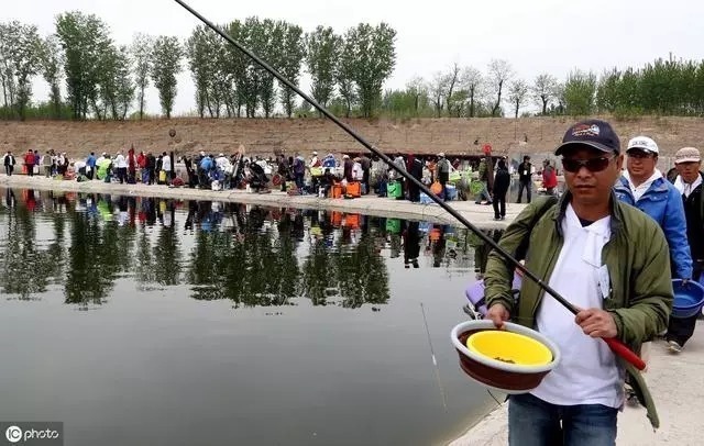 鲤鱼|教你如何识别鱼情!爆不爆护就看这项基本功了,钓鱼人必收藏