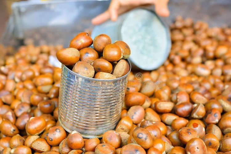 买栗子，挑个头大的还是小的？老农教你5招，皮薄肉多，个个清甜