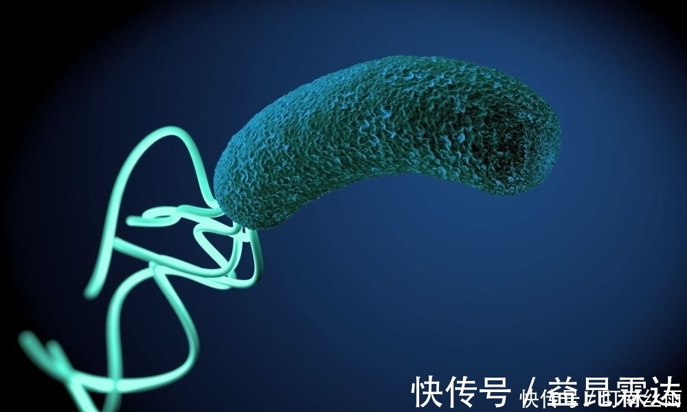 抑制幽门螺杆菌|胃不好的人,经常喝点“它”,不仅能养胃,还能抑制幽门螺杆菌