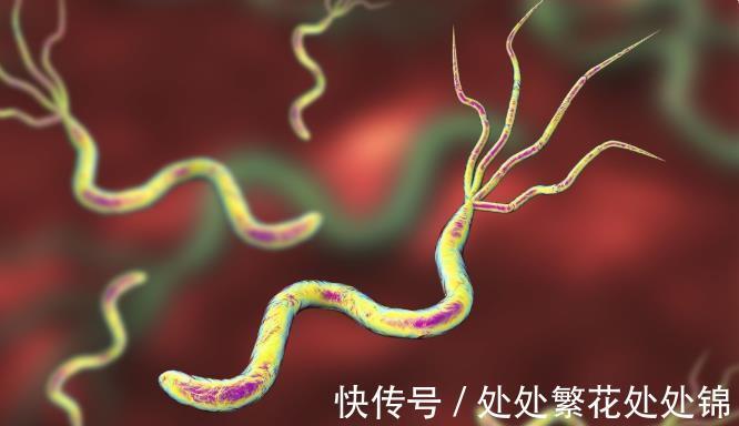 口臭|幽门螺杆菌“克星”找到了,你若爱喝,肠胃好好的,口臭也没影了