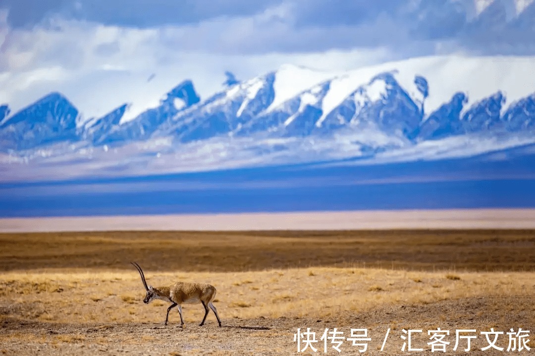 小柴旦湖|走一遍青甘大环线，才能明白：为什么人生有一篇要留给大西北