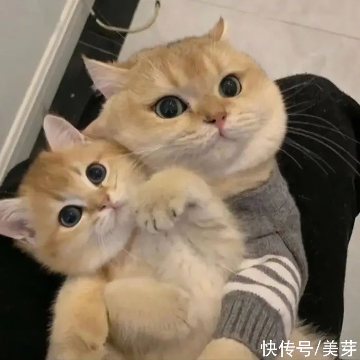 大海|今日头像丨大海和你