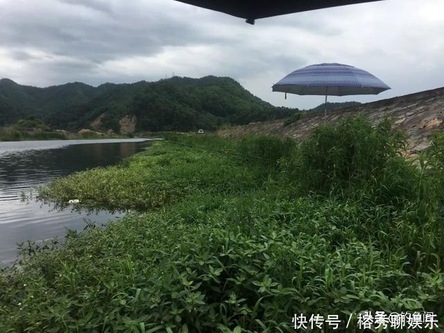 关于钓鱼的5个陋习,绝大部分钓友都有,看你占了几个