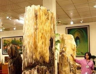 收藏家|增陵赏石|我有一个梦想石城四百八十馆,千门万户皆藏石