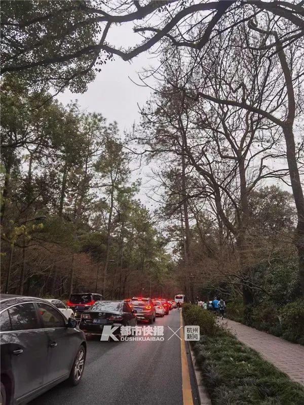 中年|4:30杭州北高峰索道已??排起长队，灵隐路热闹成“深红色”