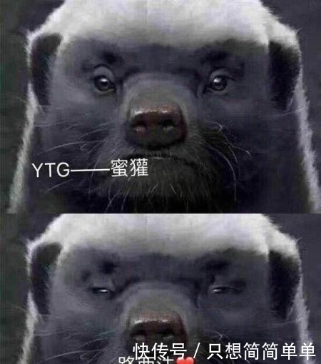 采访|KS.YTG4胜32负，赛后采访路西法整活放狂言，一诺已不配和我对抗！