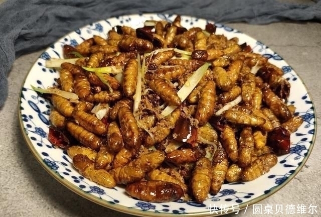 蚕蛹|大爷早市卖它，没人识货，10元一斤我直接包圆，吃后才知道赚大了