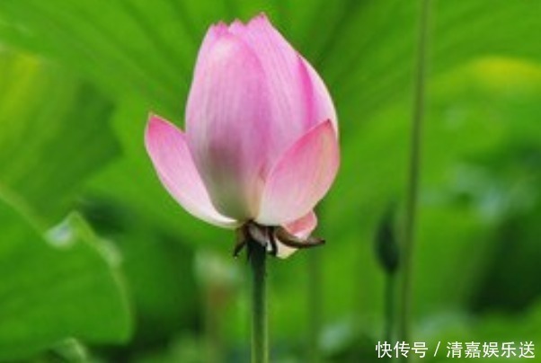 吉日|“天生命硬”的5大生辰吉日，常有贵人相助，一生大富大贵！