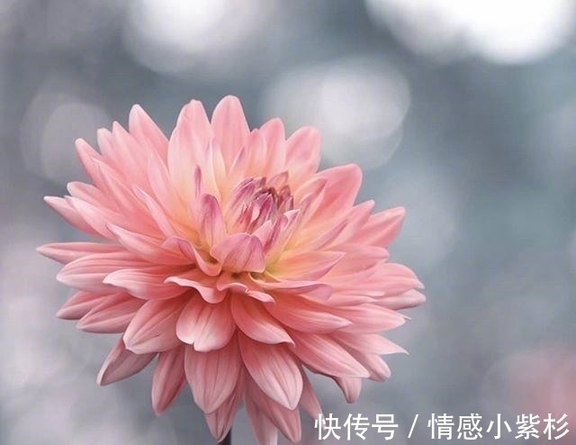 好的孤独!看到内心都发颤的话,句句精品,道尽人生百态!