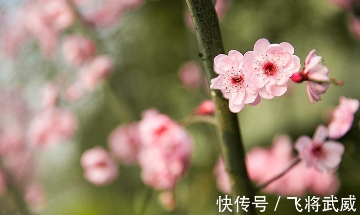 在职场|12月起，风生水起，咸鱼翻身的生肖