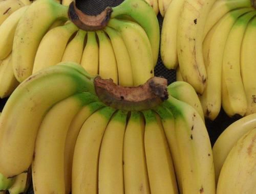 白萝卜|女生若腿比较“胖”,不妨多吃这4种“零嘴”,燃烧脂肪,远离“大象腿”