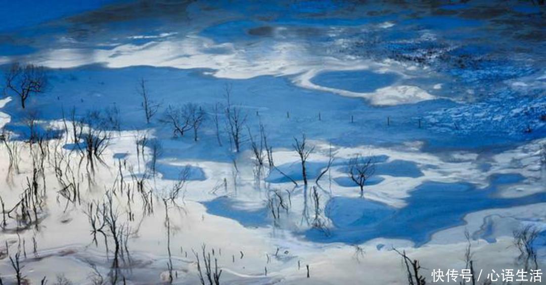 赵师雄|清朝无名氏一首无题诗，颇有李商隐的风采，通篇写得很有韵味！