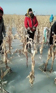 |搞笑GIF趣图:这就是当今流行的广场舞,广场不再是大妈的天下了