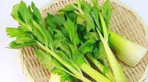 对身体很好的以下食物,值得吃一些,补充营养,好处多多