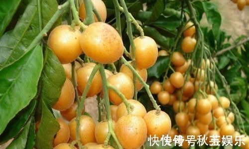维生素c|女性年纪大后多吃3种食物,越吃越“年轻”,45岁看着像30岁