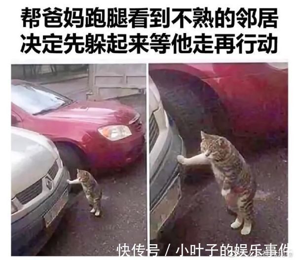 |【搞笑图片】撩妹翻车现场,哈哈哈这神奇的脑回复,也太直了吧!