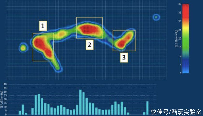 马毛|你想在价值10万元的床垫上滚床单吗?