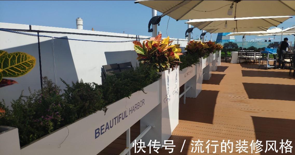 肥料|用肥料前先了解这些基础，养的花蹭蹭长，花一年开好几次