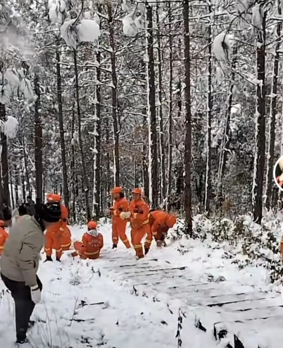 消防员们|女游客邀请消防员打雪仗，遭“穷追猛砸”…网友调侃：凭实力单身