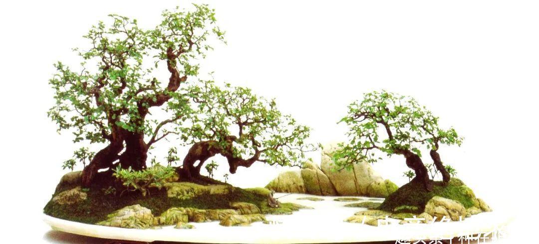 树石盆景:在堤岸坡脚处留出一条透水的缝隙,可享浇水无忧!