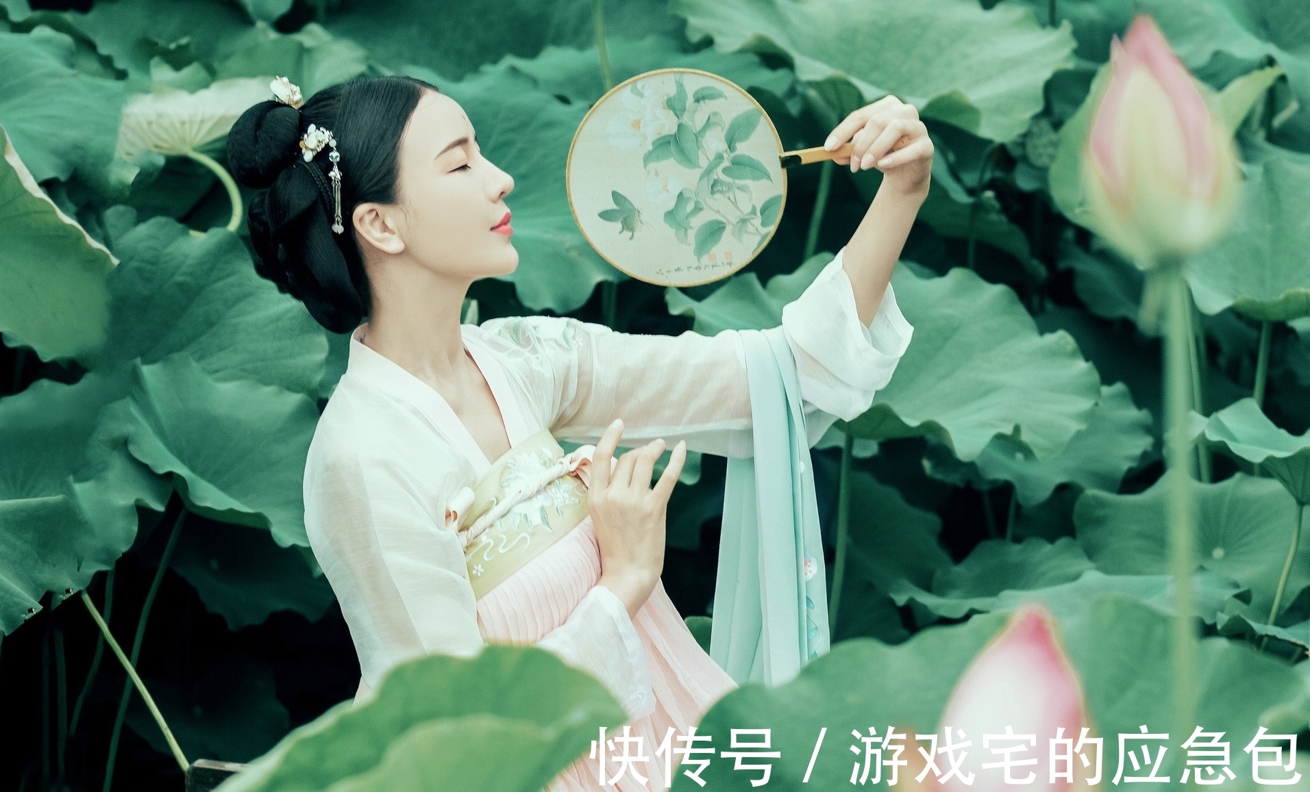 露寒!诗·十首丨露寒袭褪三分绿,雨冷摧来半数黄