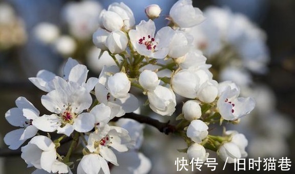 |幽默笑话:如果我说了实话,都不知道自己会有多惨