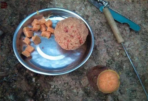 钓了30年鱼,才知道鲫鱼饵根本不用买,据说比蚯蚓还好用...