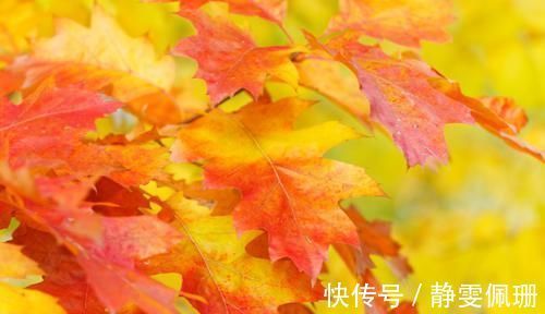 骨骼|关于男生的身高问题,大家一起来来讨论下!